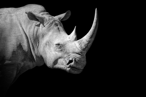 horned