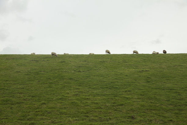 _texel