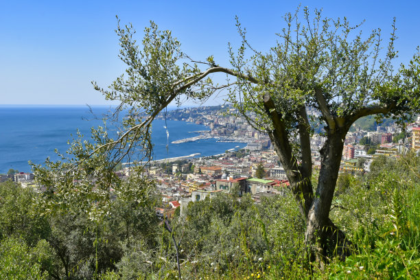 napoli