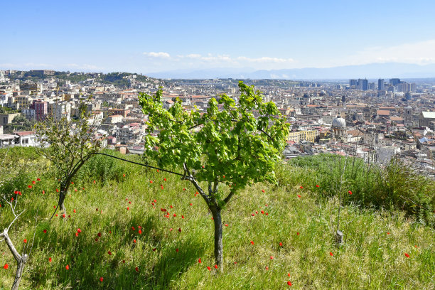 napoli