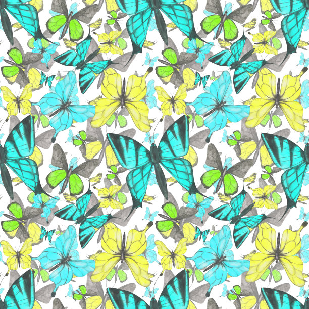 蓝白花卉蝴蝶图案素材