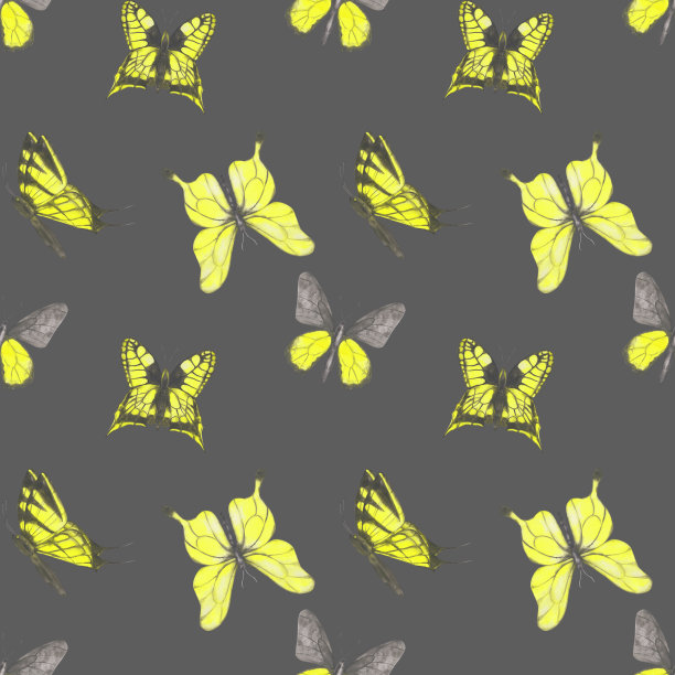 蓝白花卉蝴蝶图案素材