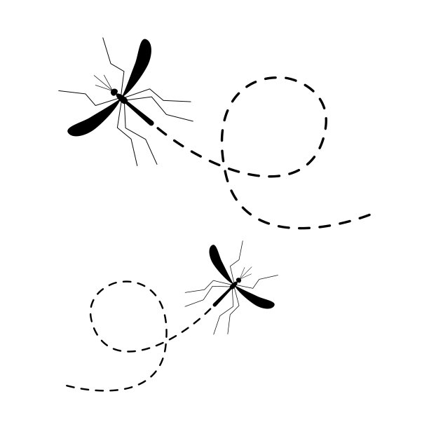 mosquito