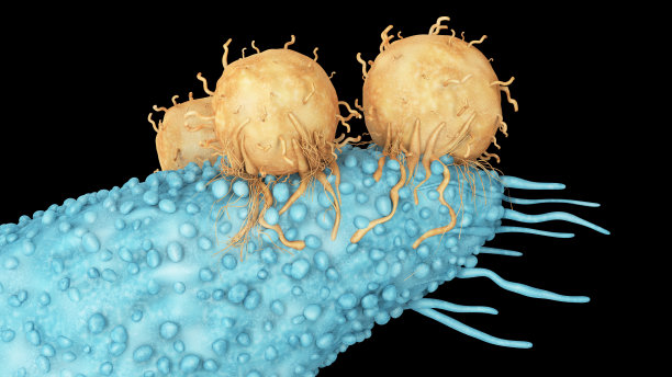 cd4