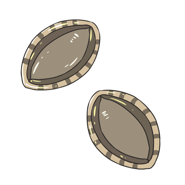 abalone