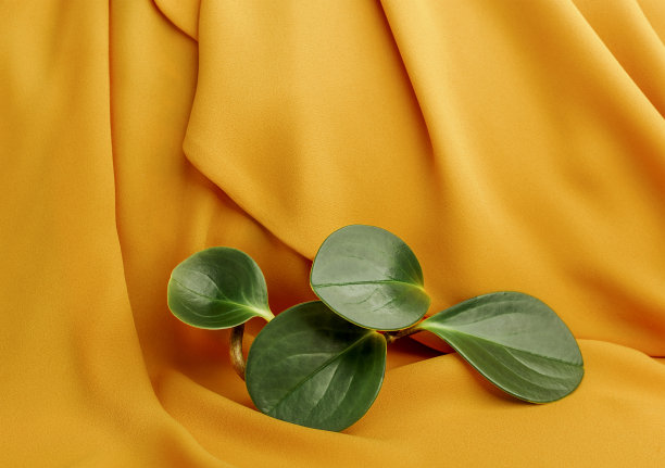 清新时尚潮流背景