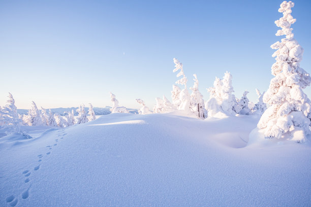 snowfall