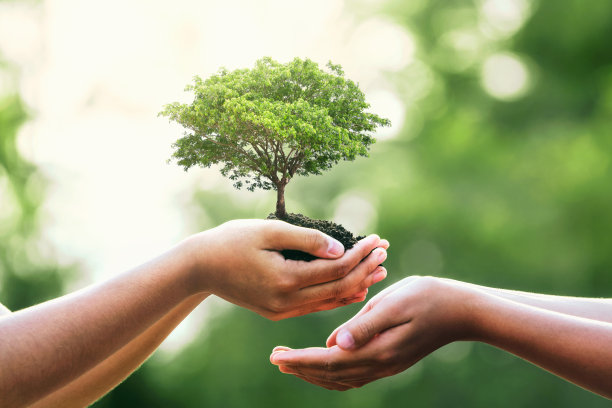 conservation