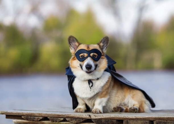 hero