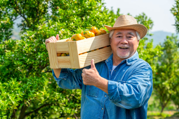 orchard