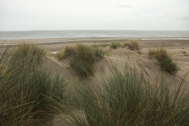 _texel