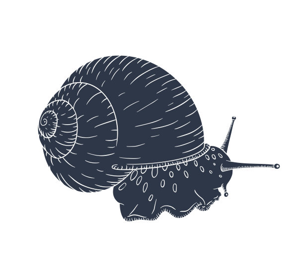 无脊椎动物标志