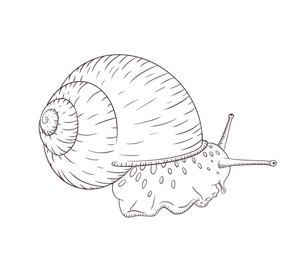 无脊椎动物标志