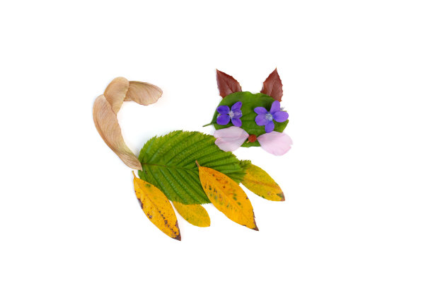 clipart