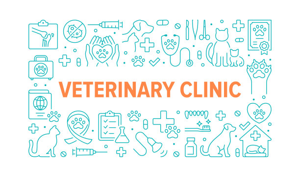 护照,超声波,汽车