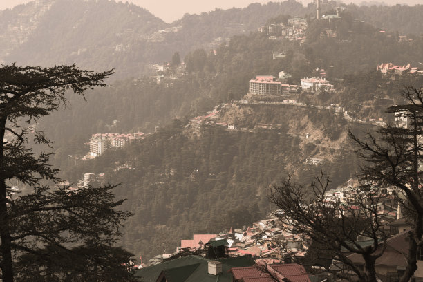 simla