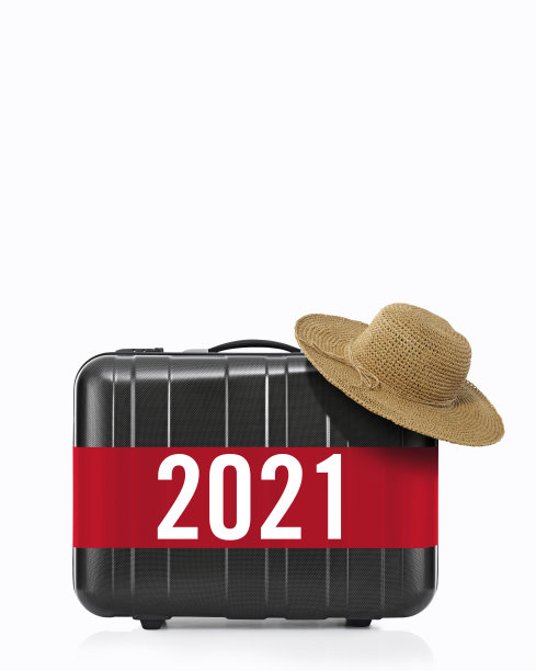2021年新年手提袋
