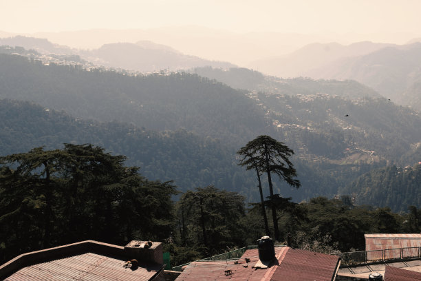 simla