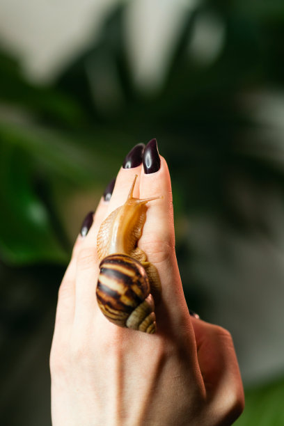 无脊椎动物标志