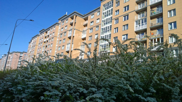 filipendula