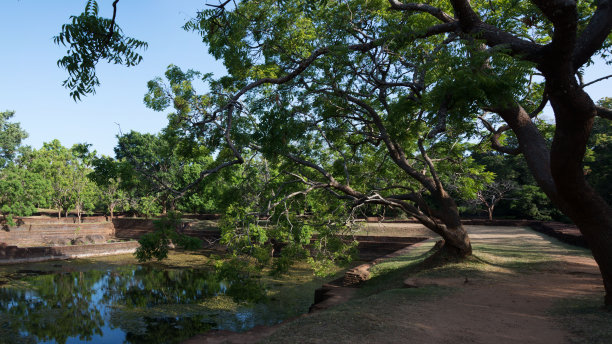 sigiriya