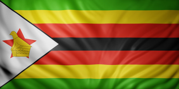 zimbabwean