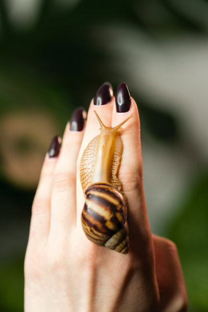 无脊椎动物标志