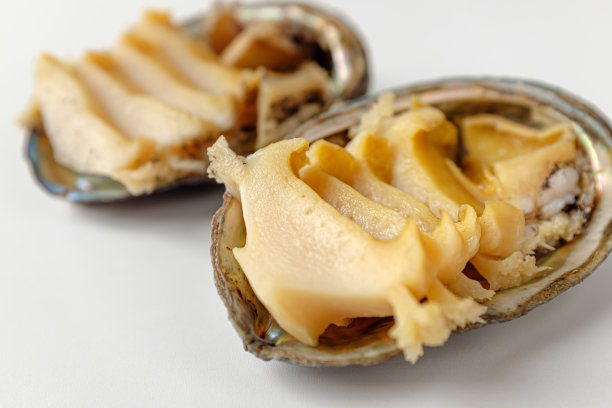 abalone