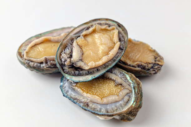 abalone