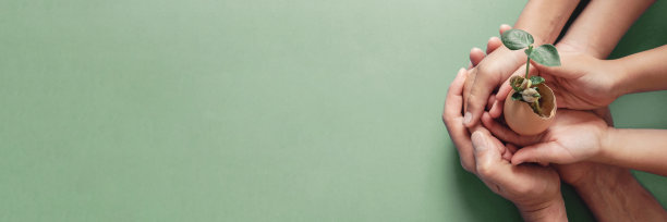 世界粮食日宣传