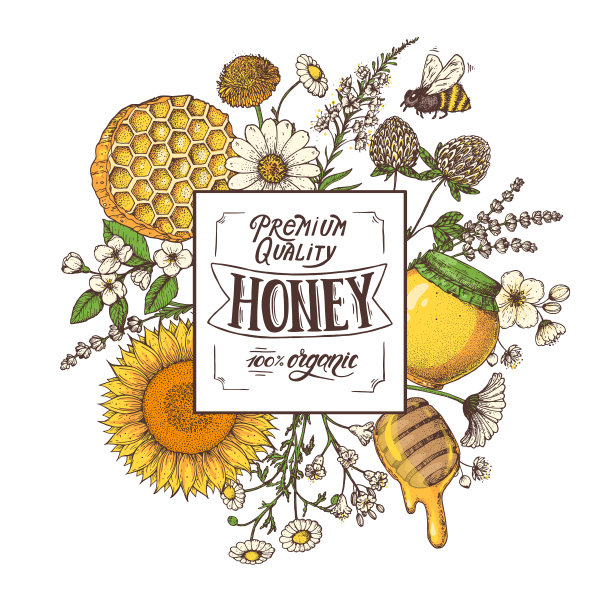 蜂蜜插画包装