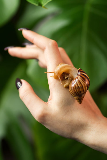 无脊椎动物标志