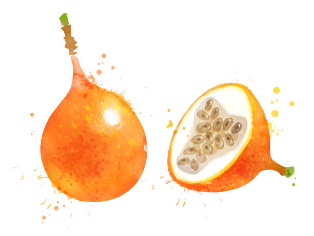 百香果包装插画