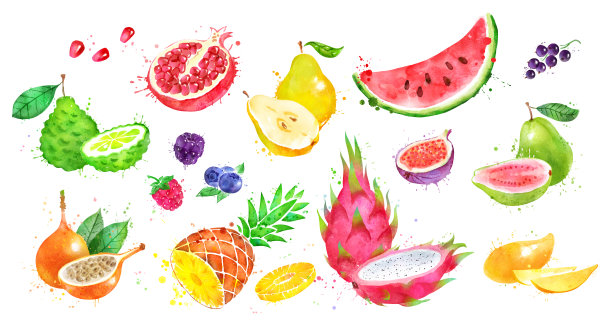 无花果插画包装