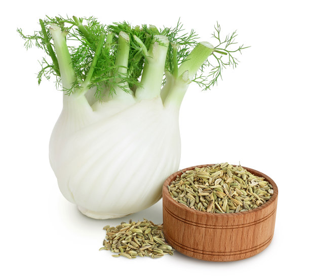 fennel