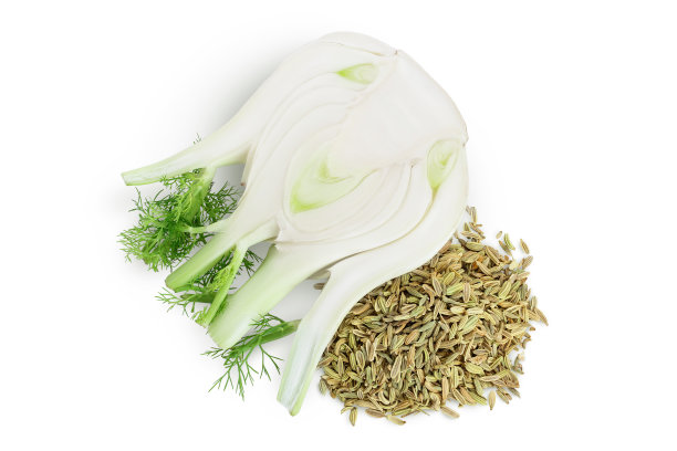 fennel
