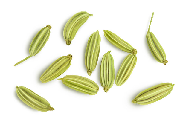 fennel