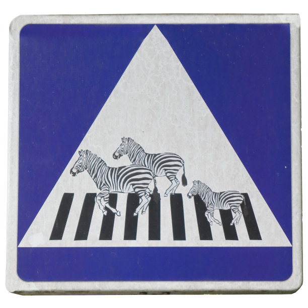 zebra