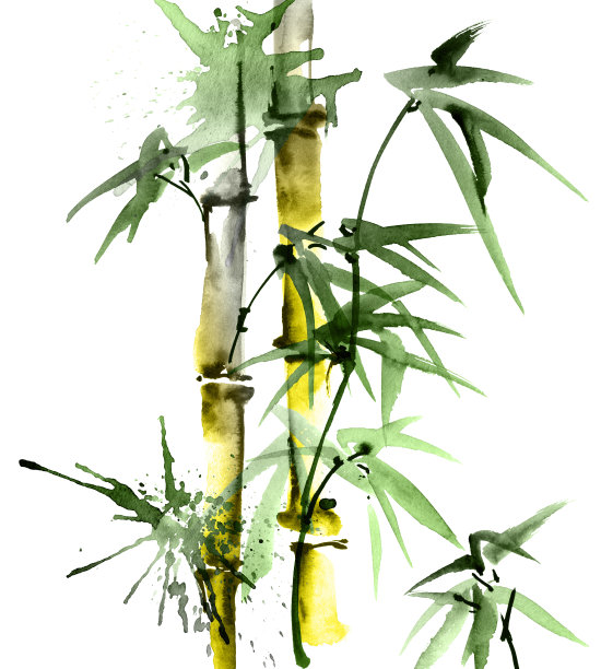 国画竹子