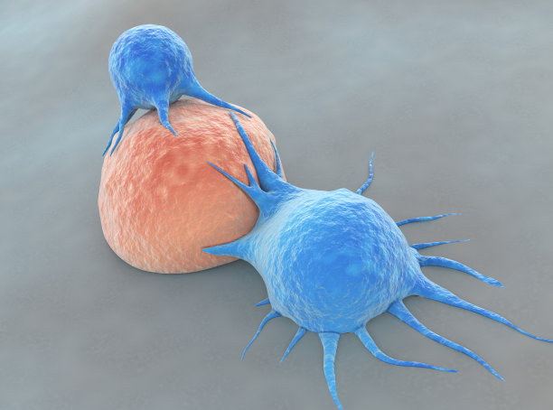 cd4