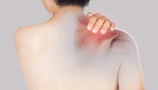 shoulder