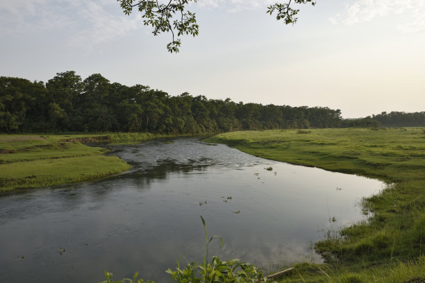 chitwan