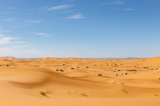 desert