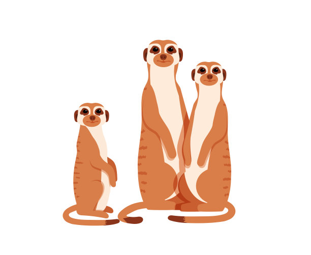 mongoose