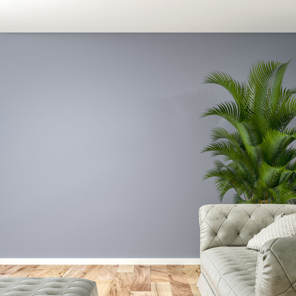 芭蕉叶沙发背景