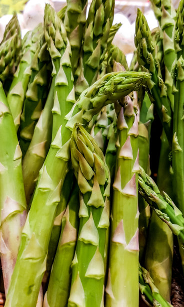 asparagus