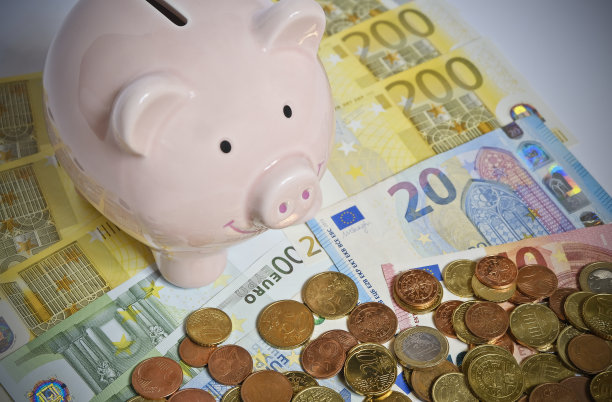 euro