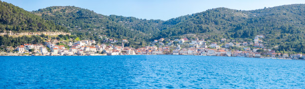 vis