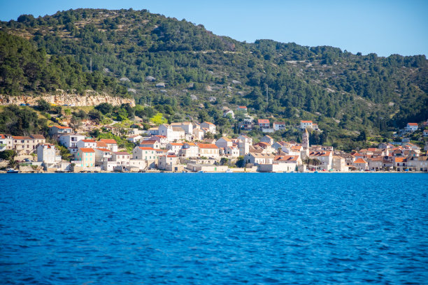 vis