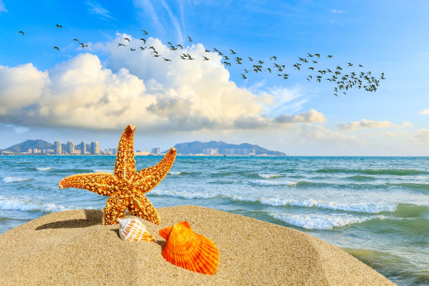 飞鸟蓝色大海壁纸